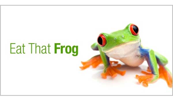 THINH PHONG MANAGEMENT – CONSTRUCTION – TRADE COMPANY LIMITED.