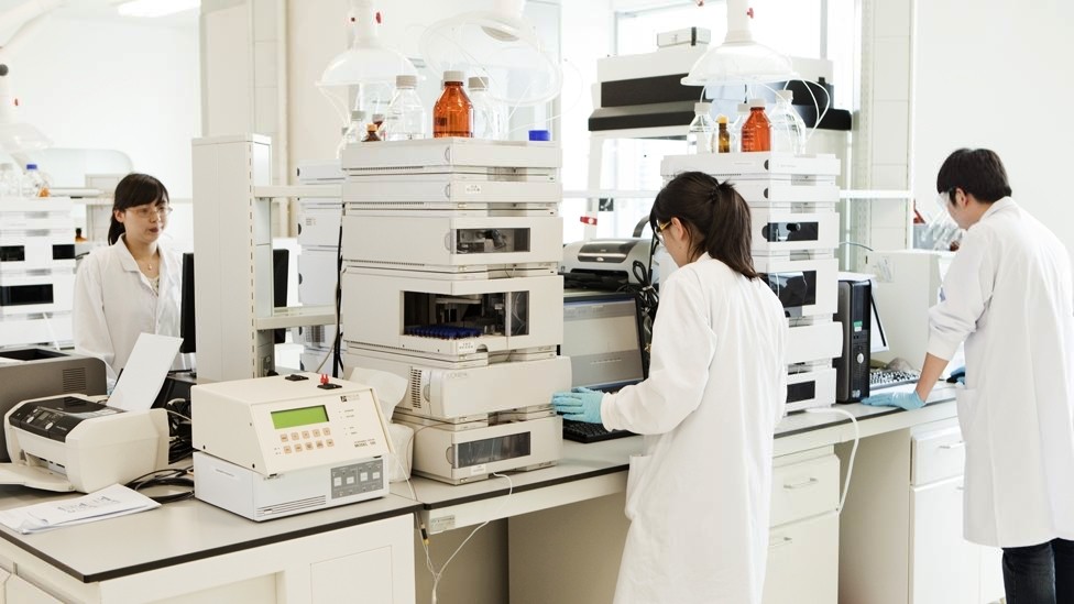 THINH PHONG MANAGEMENT – CONSTRUCTION – TRADE COMPANY LIMITED.