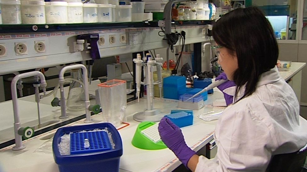 THINH PHONG MANAGEMENT – CONSTRUCTION – TRADE COMPANY LIMITED.