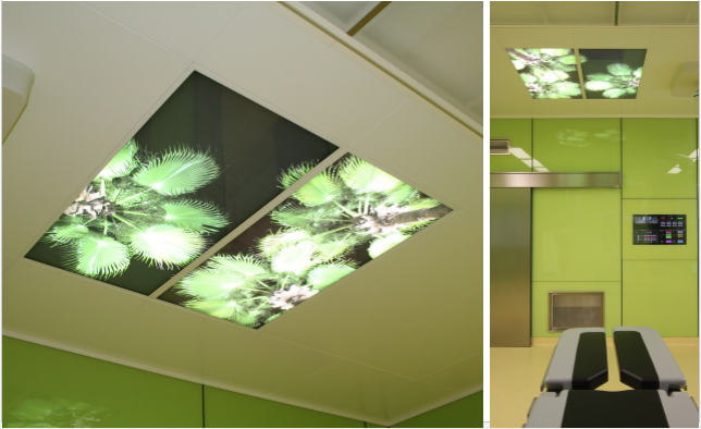 THINH PHONG MANAGEMENT – CONSTRUCTION – TRADE COMPANY LIMITED.