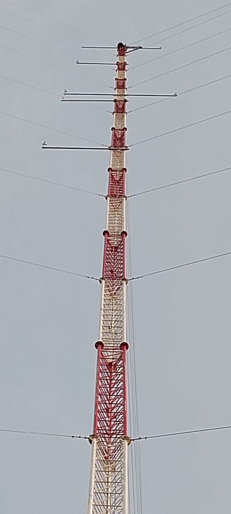 THINH PHONG MANAGEMENT – CONSTRUCTION – TRADE COMPANY LIMITED.