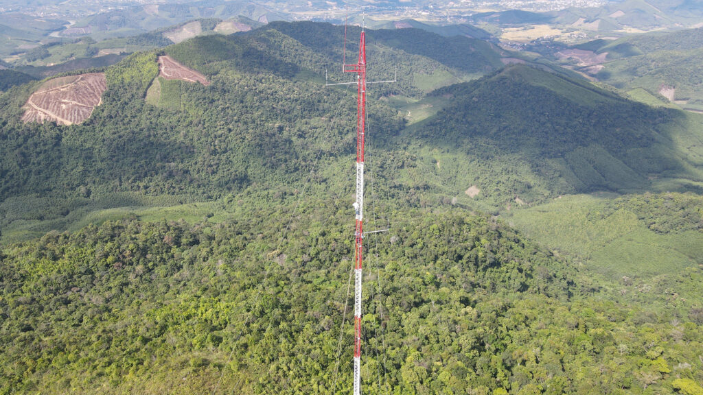 THINH PHONG MANAGEMENT – CONSTRUCTION – TRADE COMPANY LIMITED.