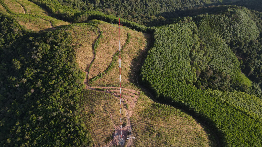 THINH PHONG MANAGEMENT – CONSTRUCTION – TRADE COMPANY LIMITED.