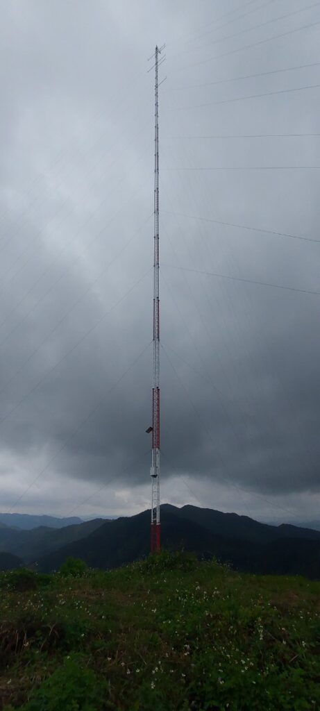 THINH PHONG MANAGEMENT – CONSTRUCTION – TRADE COMPANY LIMITED.