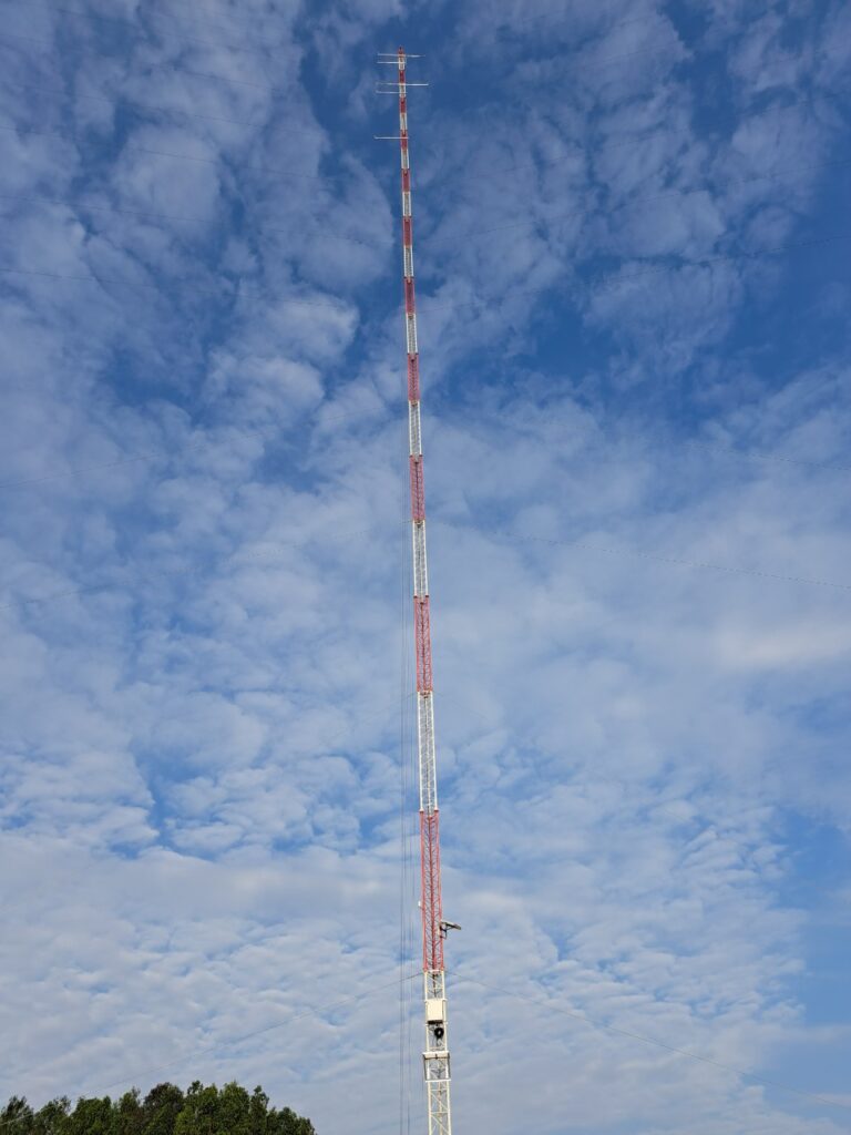 THINH PHONG MANAGEMENT – CONSTRUCTION – TRADE COMPANY LIMITED.